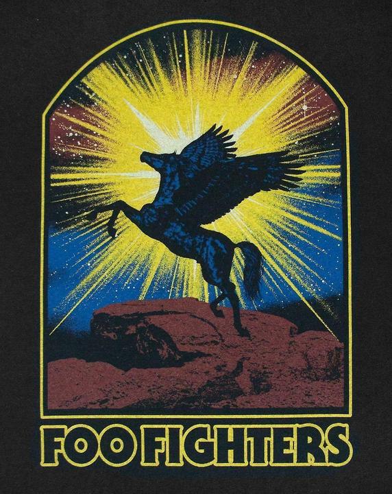 Immagine prodotto Foo Fighters Maglietta Cavallo Uomo (XXL)