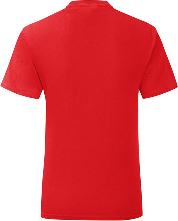 Image du produit Fruit of the Loom T-shirt Iconic (3XL)