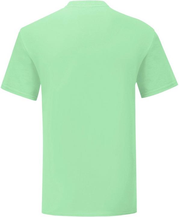 Produktbild Fruit of the Loom UTPC4369 P (XL)