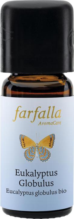 Farfalla Eukalyptus