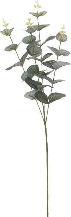 Produktbild Casativo Eukalyptus Zweig mit Blüten künstlich