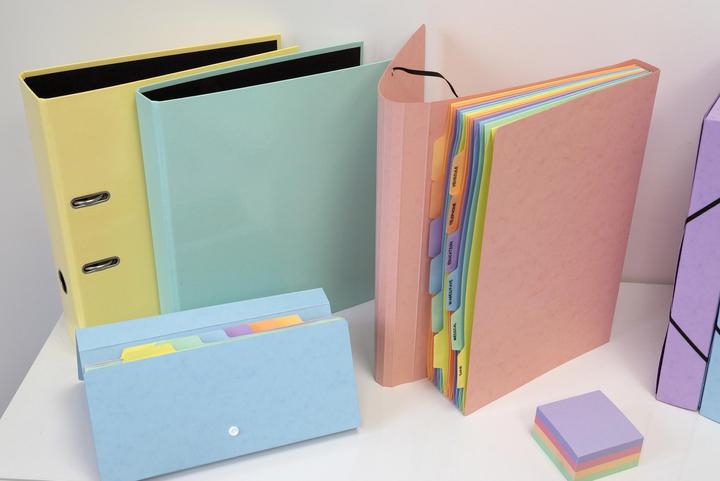 Actual product image Exacompta Ring binders (A4, 25 mm, 1 Piece)