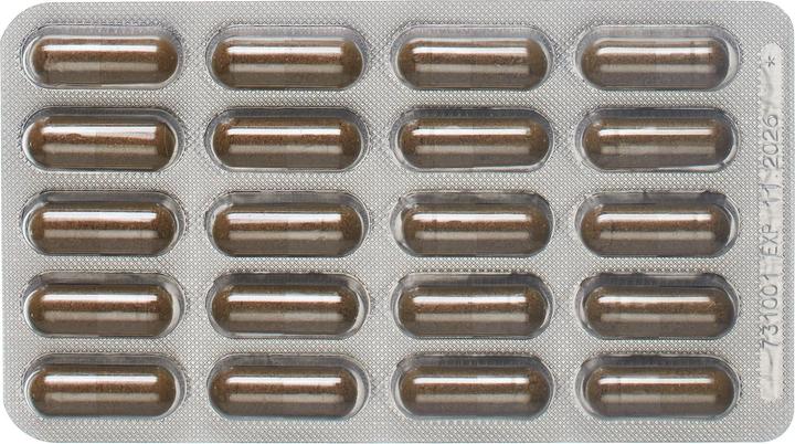 Image du produit Padma VENABEN gélules (60 pcs) (60 pièce(s), Capsules, 57 g)