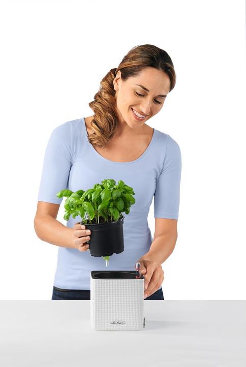 Immagine prodotto Lechuza cubo (14 cm)