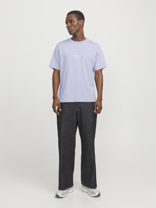 Actual product image Jack & Jones Jorvesterbro Tee Ss Crew Neck Noos (M)