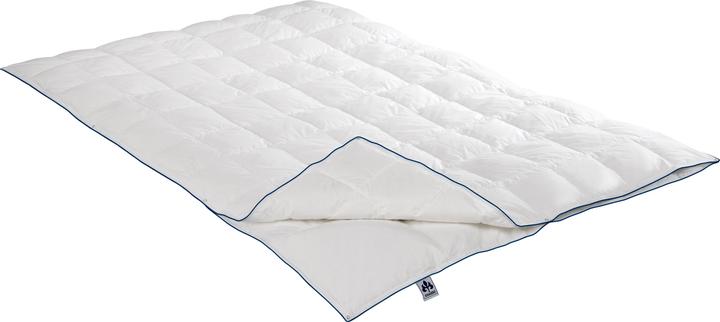 Produktbild Irisette 4-Jahreszeiten-Daunendecke Luna (1050 g, 155 x 200 cm)