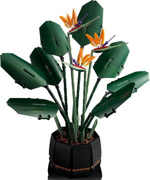 Produktbild LEGO Bird of Paradise (10289, LEGO Seltene Sets)