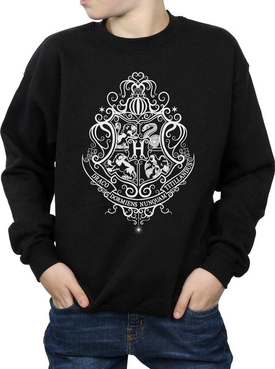 Actual product image Boys Hogwarts Draco Dormiens Crest Sweatshirt (140, 146)