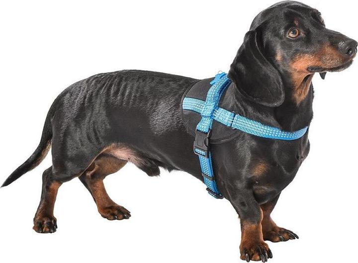 Actual product image Bobby dog harness easy safe (S, M, L, XL, Dog, Dog sport)