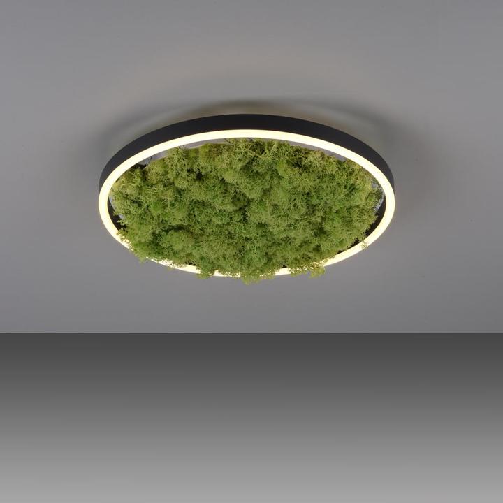 Actual product image Leuchten Direkt Green Ritus (2650 lm)