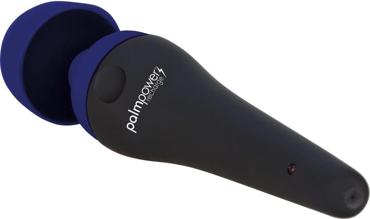 Produktbild Palmpower recharge