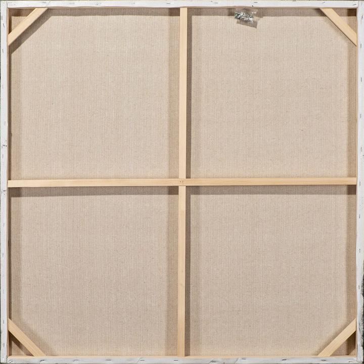Produktbild Schubiger Bild Schönheit mit em Papagei (100 x 100 cm)