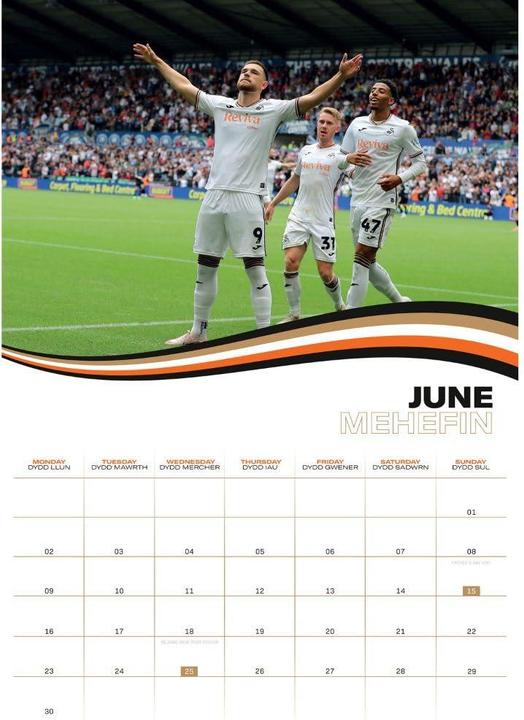 Image du produit Swansea City AFC - Calendrier mural (A3)