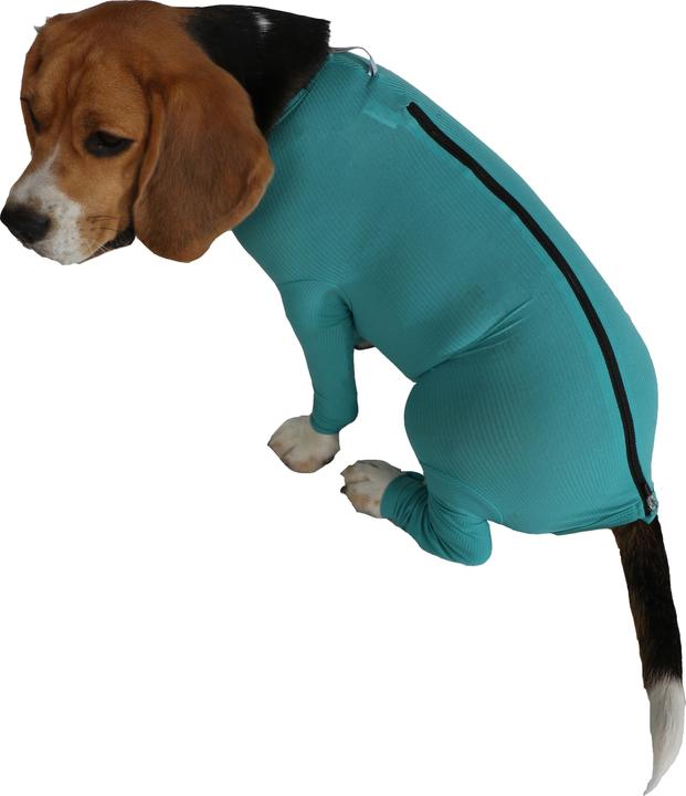 Immagine prodotto Vetmedcare Body per cani con zampe e zip (Cane)