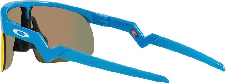 Image du produit Oakley Résistance (Bleu, prizm rubis)