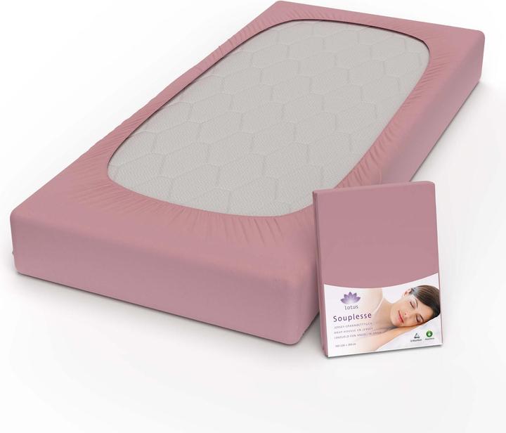 Produktbild Lotus Bettwaren Jersey Fixleintuch Souplesse (180 x 200 cm)