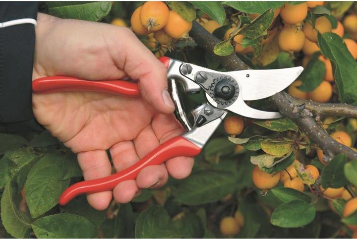 Image du produit Felco 9