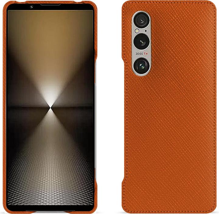 Arancione vibrante ( Pantone #e36b39 )