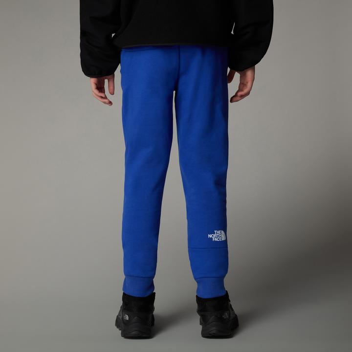 Actual product image North Face Joggers (S)