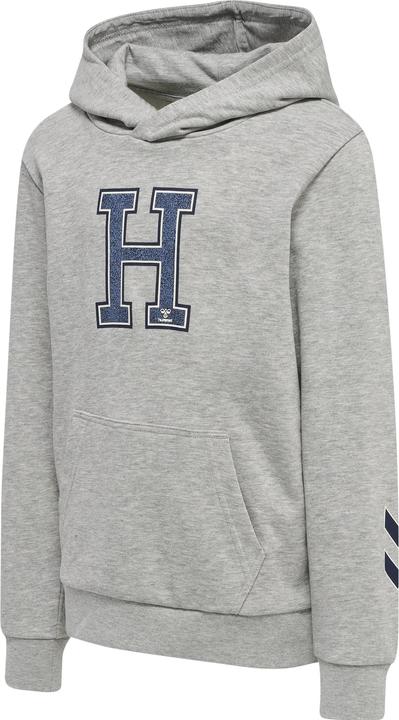 hummel Geography Hoodie