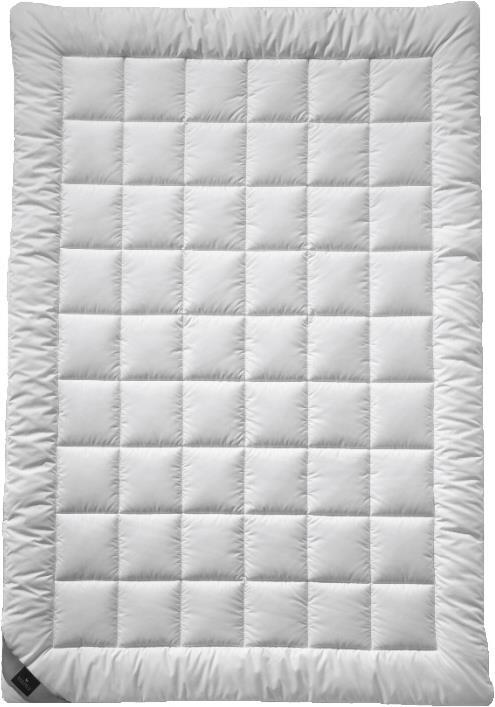 Billerbeck Meisterklasse Light (740 g, 160 x 210 cm)