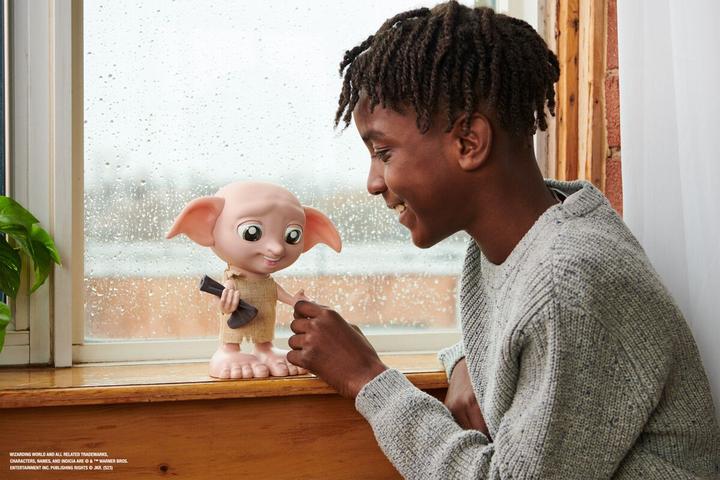 Actual product image Spin Master Harry Potter Interactive Dobby