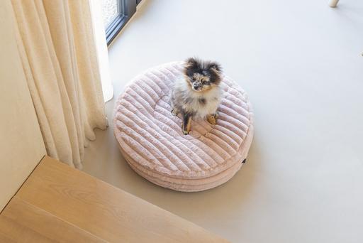 Produktbild Designed by Lotte Liegekissen Reza (Hund)