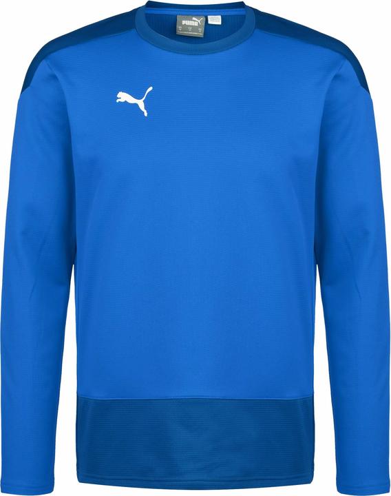 Puma teamGOAL 23 Trainingssweat Herren (XXL)