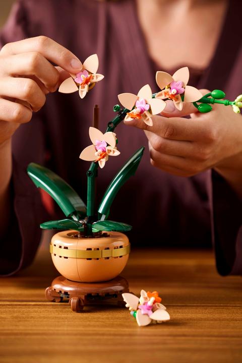 Immagine prodotto LEGO Mini-Orchidee (10343, LEGO Botanical)