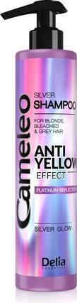 Delia Cosmetics Cameleo Silver (250 ml)