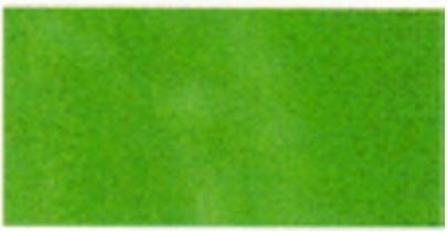 Image du produit Rohrer Encre de Chine résistante à la lumière vert jute