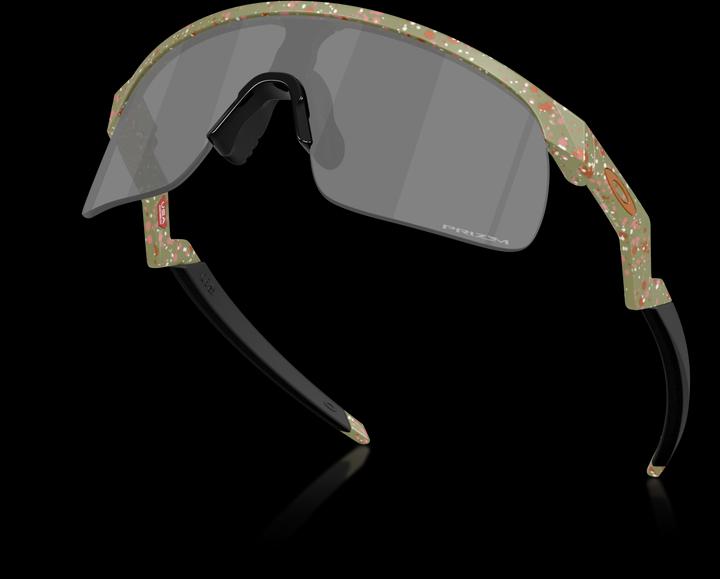 Image du produit Oakley Resistor (FERN TERRAZZO)