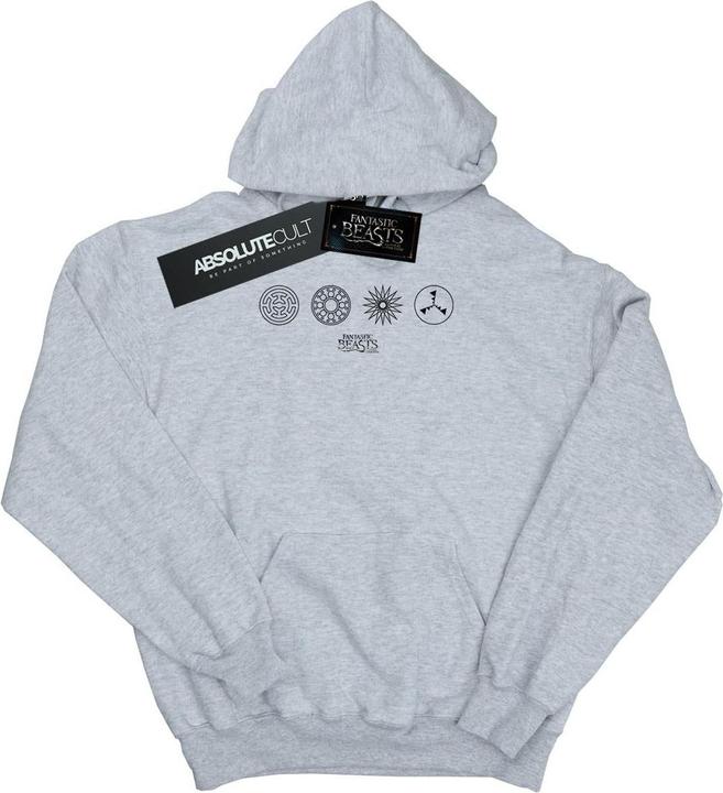Image du produit Fantastic Beasts - Sweat à capuche CIRCULAR ICONS - Homme (S)