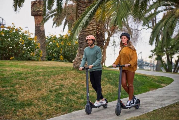Actual product image Segway-Ninebot Kick Scooter E22E (20 km/h, 22 km, 300 W)