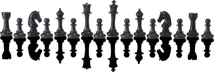 Actual product image Millennium Chess Genius Pro 2024
