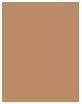 Immagine prodotto Rimmel London Kind & Free Glow It Up Moisturising Skin Tint (210 Beige dorato)