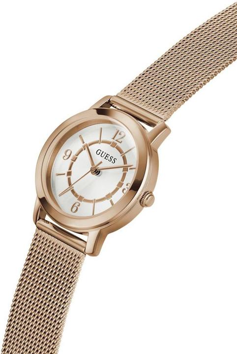 Image du produit Guess Watches LADIES GW0666L3