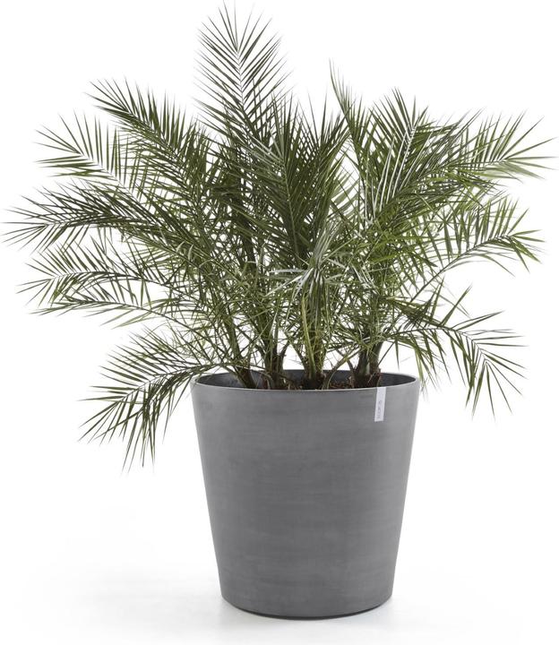 Produktbild Ecopots Amsterdam Wheels