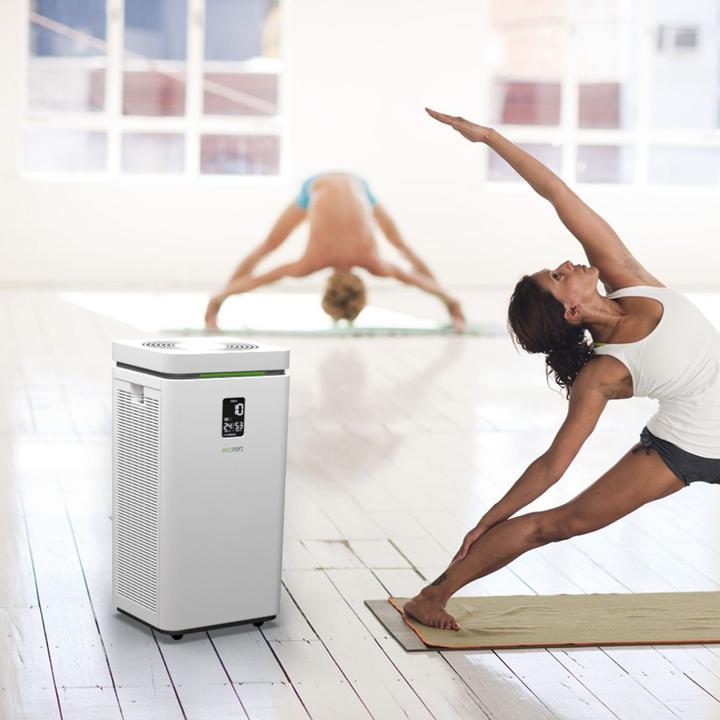 Image du produit ecofort ecoQ CleanAir 800 (160 m²)