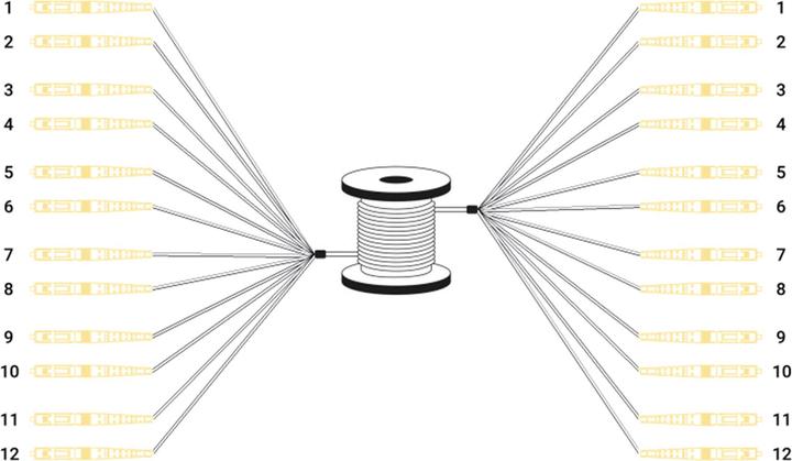 Image du produit Digitus Câble breakout fibre optique universel préassemblé, multimode OS2, 12 fibres, LC/UPC – LC/UPC (LSOH, CAT6, 100 m)
