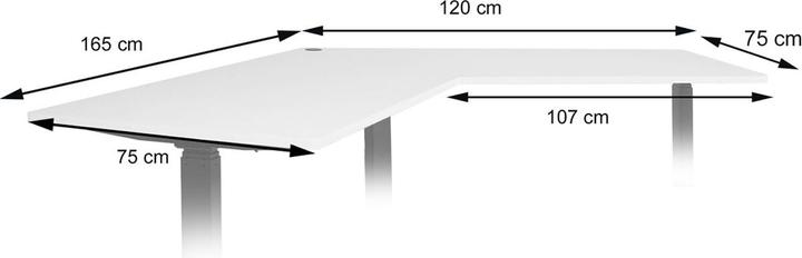 Actual product image MCW D40-T3 (2. 5 x 165 x 75 cm)