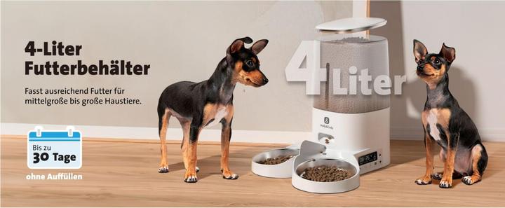 Image du produit Molly&Cody Distributeur automatique de nourriture pour animaux domestiques LUCKY (4 l)