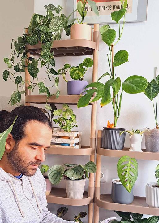 Actual product image CitySens Plant shelves