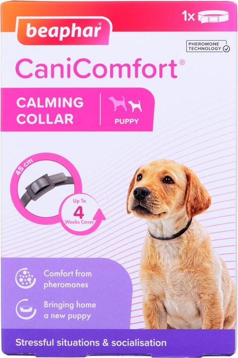 Actual product image beaphar Collar with pheromones for puppies - 45 cm (Dog, General)
