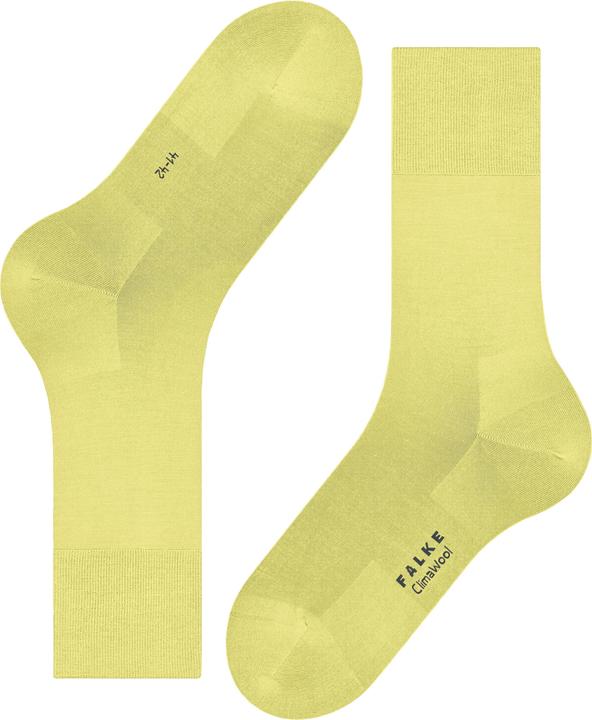 Actual product image Falke ClimaWool Men (43 - 44)