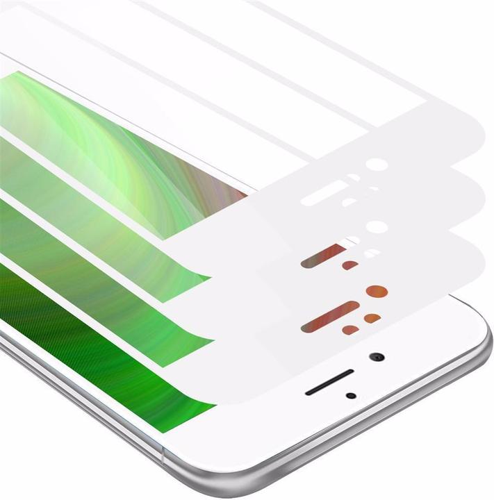 TRANSPARENT with WHITE