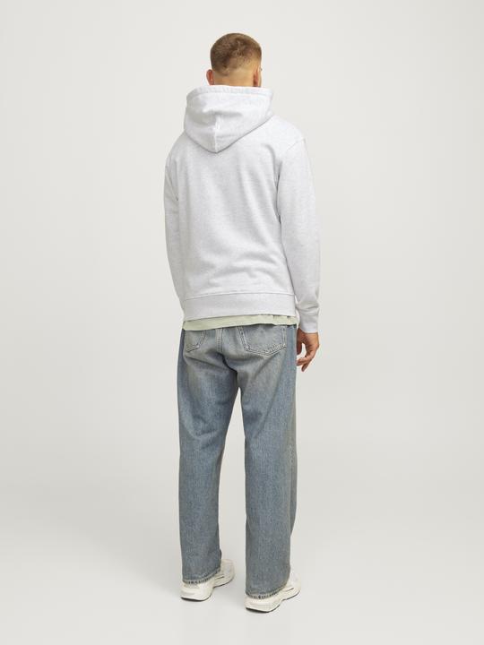 Produktbild Jack & Jones Jorportland Block Sweat Hood Ln (M)