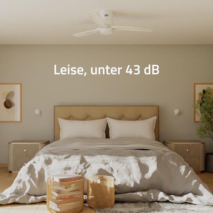Immagine prodotto Hombli Deckenventilator mit Licht (43 dB)