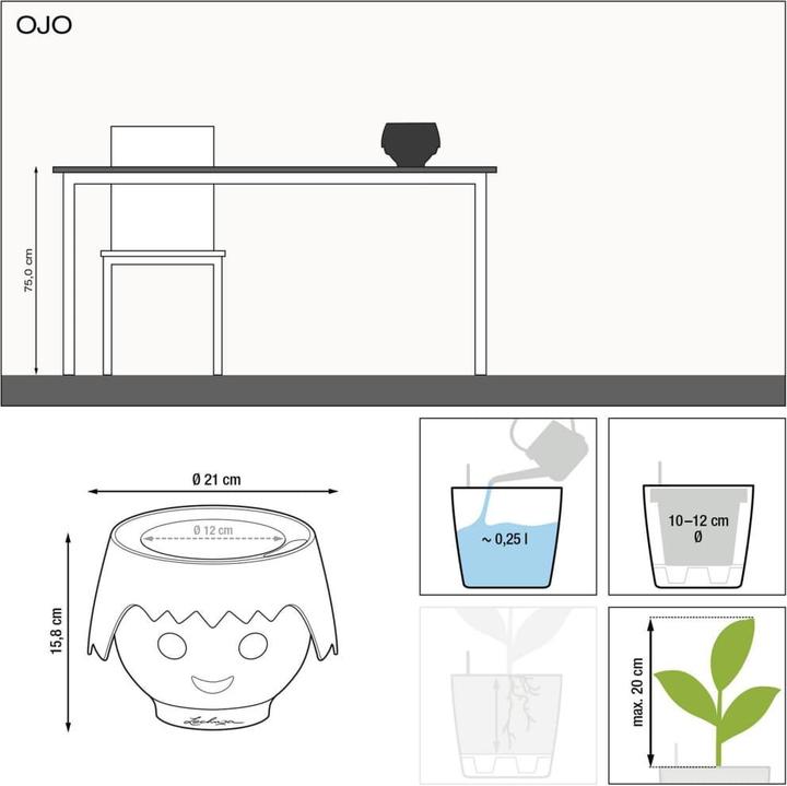 Actual product image Lechuza Ojo (21 cm)