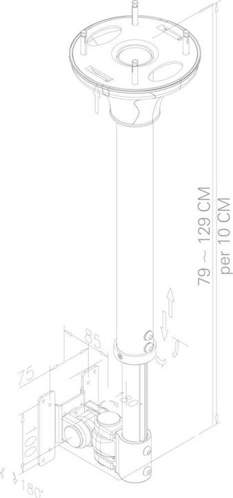 Actual product image Neomounts Fpma-C100 (Ceiling, 30")